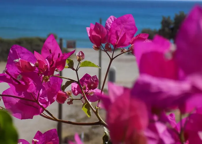 Strouvalis Apartment Agiassos