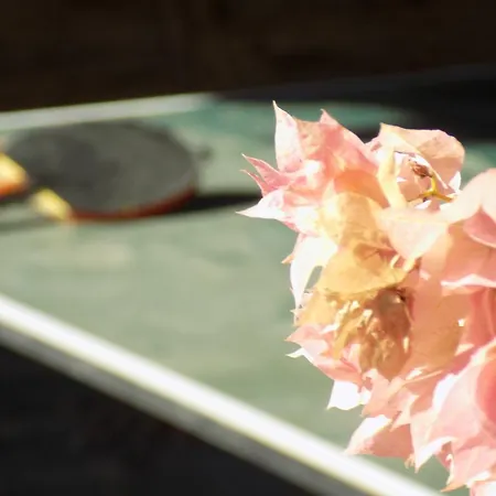 Strouvalis Apartmán