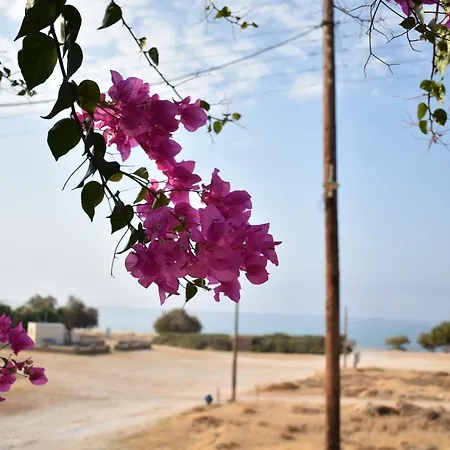 Strouvalis アパート