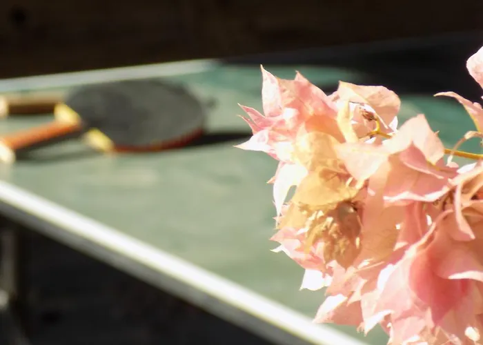 Strouvalis 아파트