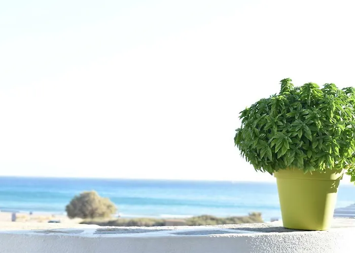 Strouvalis 아기아소스